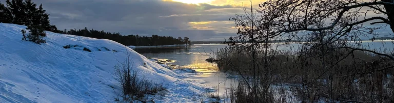 Read more about the article Muistin toiminta