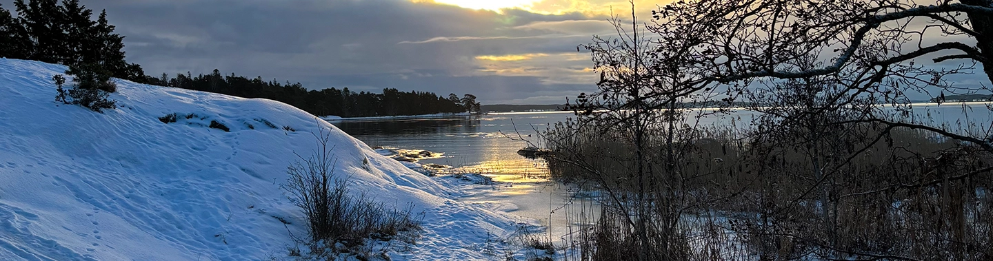 muistin toiminta mielen maisemassa